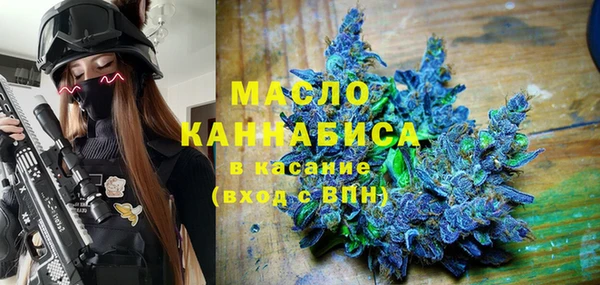 мдпв Дмитриев