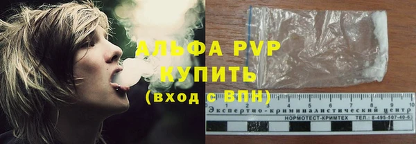 ешки Новодвинск