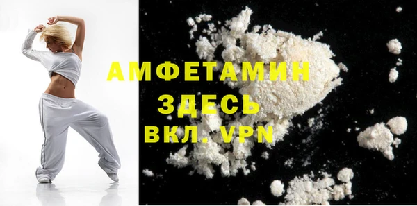 мдпв Дмитриев