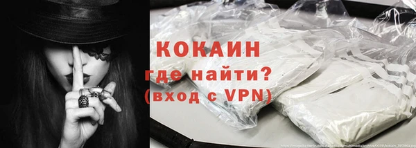 гашик Дмитров