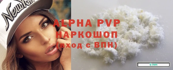 гашик Дмитров