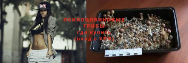 индика Лысьва