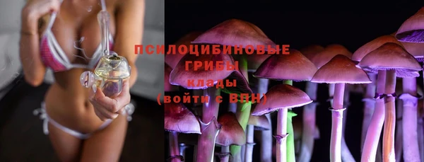 гашик Дмитров