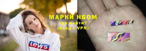гашик Дмитров