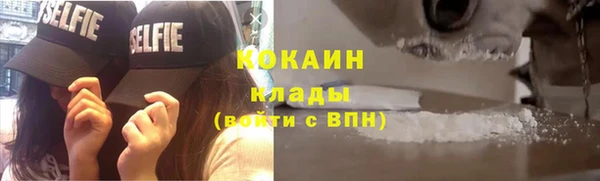 гашик Дмитров