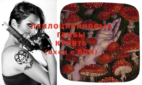 мдпв Дмитриев