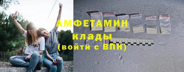 мдпв Дмитриев