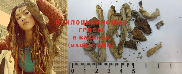 гашик Дмитров