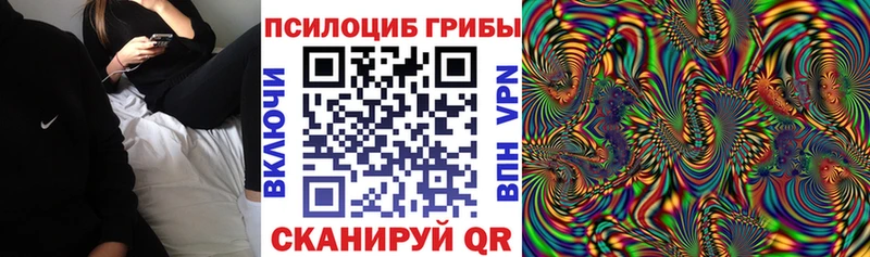 купить наркоту  Очёр  Галлюциногенные грибы Magic Shrooms 